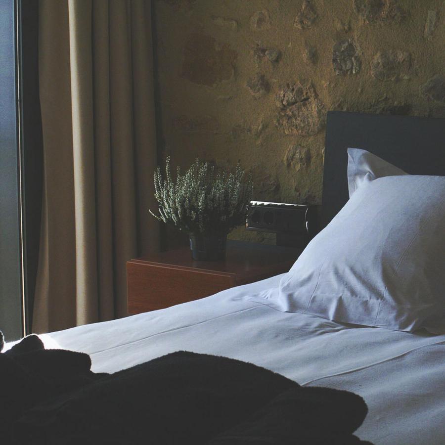Hotel Mas Oliveres Pla De Palau Llers Dış mekan fotoğraf