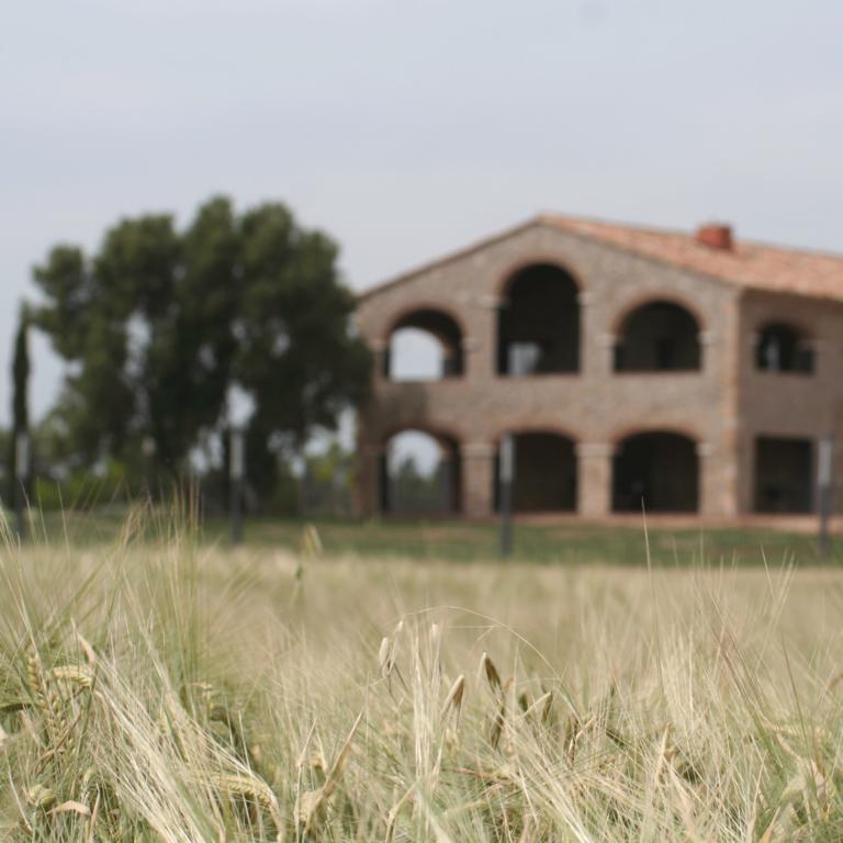 Hotel Mas Oliveres Pla De Palau Llers Dış mekan fotoğraf